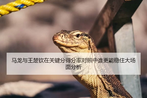 马龙与王楚钦在关键分得分率对照中谁更能稳住大场面分析