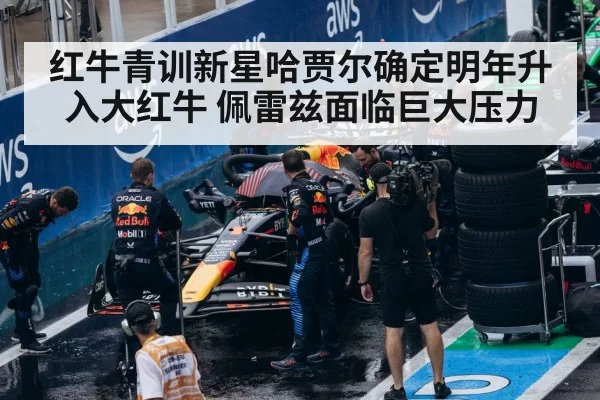 Red Bull F1 team